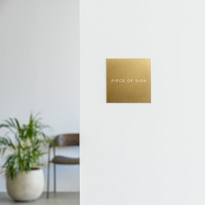 THE DOOR PLATE
