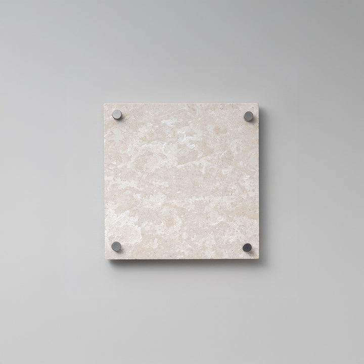 THE DOOR PLATE - RIVET