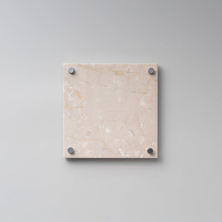 THE DOOR PLATE - RIVET
