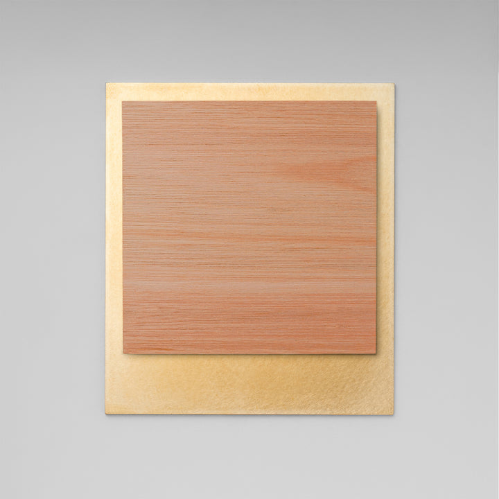 THE DOOR PLATE - BASE MIX - PIECE OF SIGN