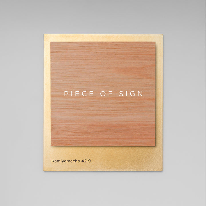 THE DOOR PLATE - BASE MIX - PIECE OF SIGN